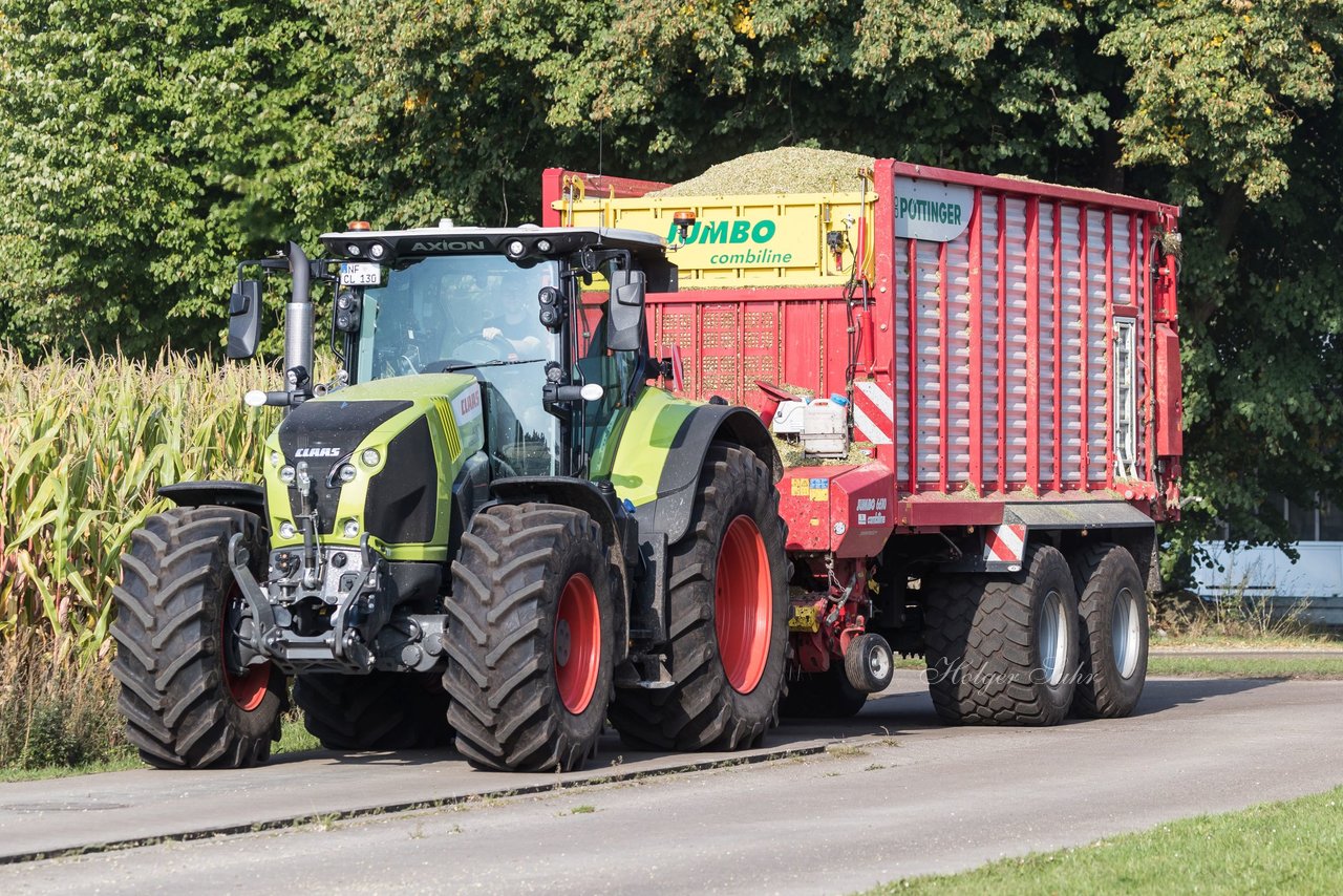 Bild 178 - Maisernte